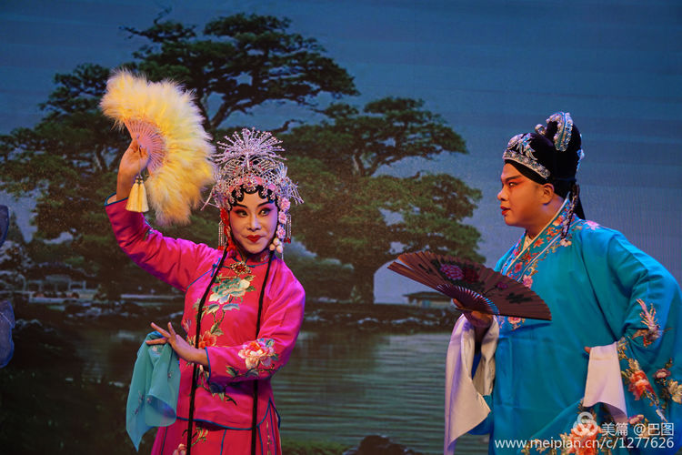 曲剧花为媒经典唱段全场,曲剧花为媒报花名完整唱段