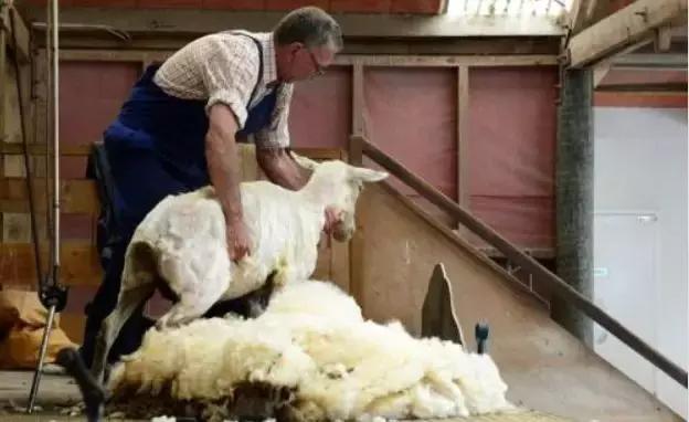 微信黑产揭秘：专业程度不输BAT，*赌黄**骗一条龙