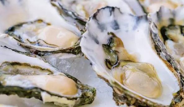 游四方攻略,游四方走八方