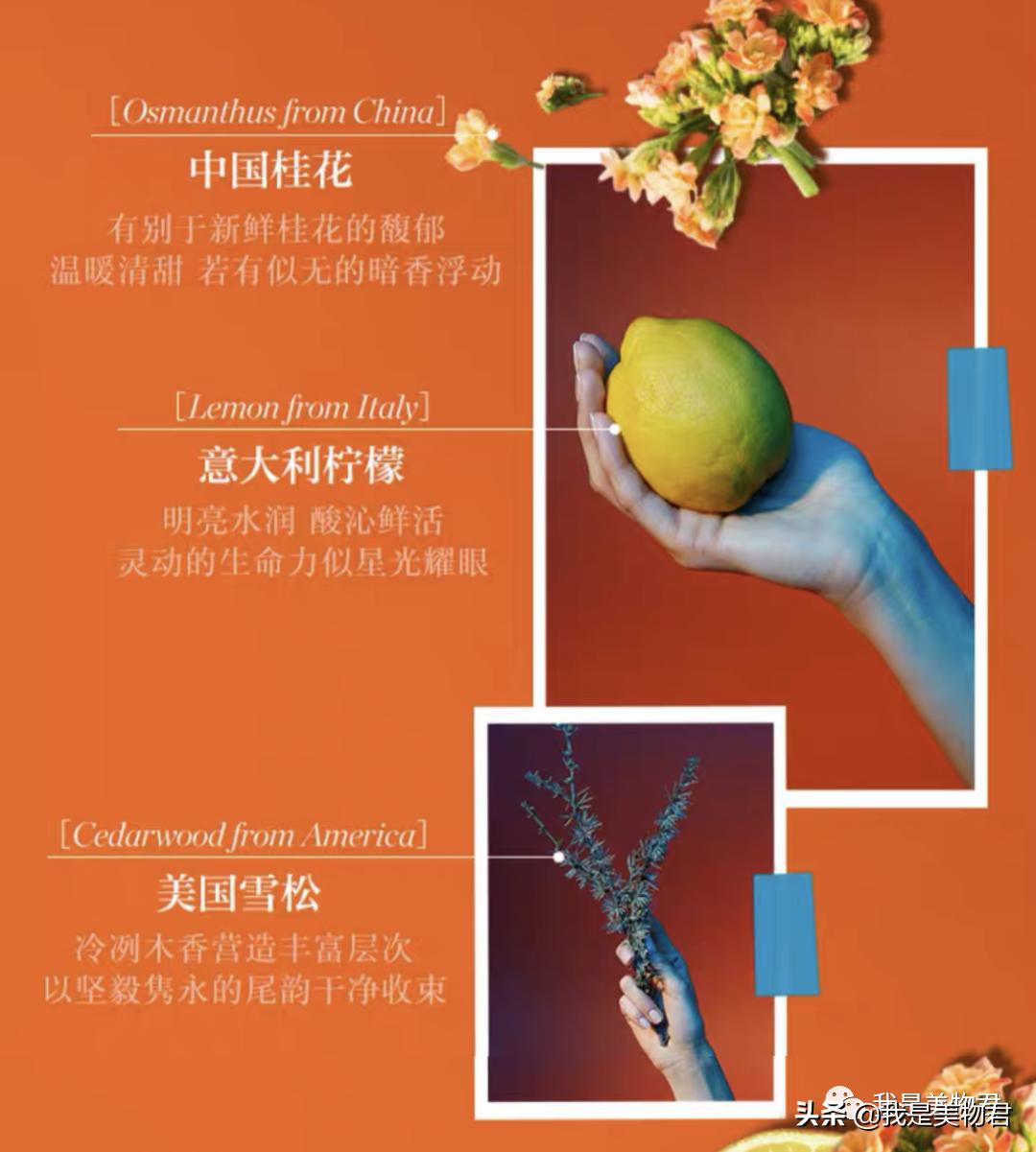 秋天香水橘香,秋季香水