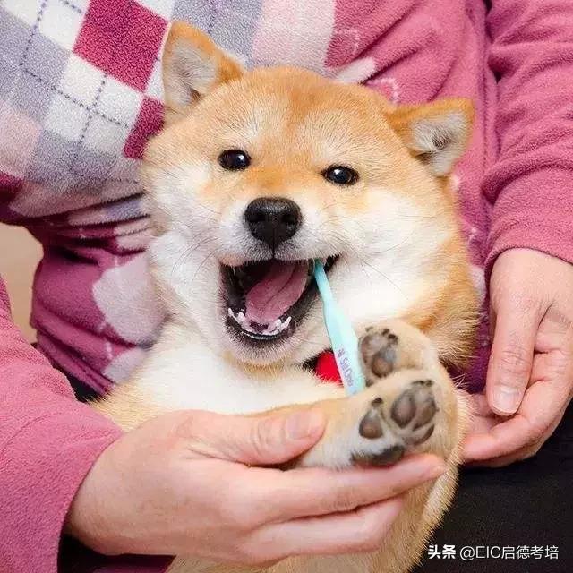 容易被误解为野鸡大学的大学,盘点看似正规实际很野鸡的大学