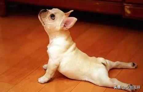 薄枕头睡觉专用测评,连体枕头测评