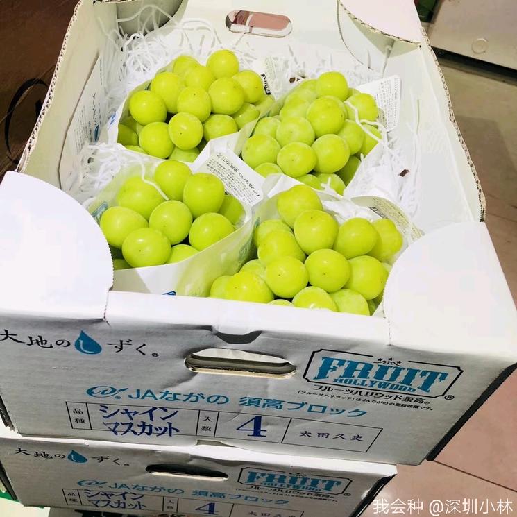 顶级阳光—大地之水一箱4串，2000元！网友：每一颗都是钱的味道