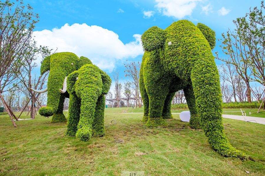 成都周边春季徒步旅游攻略,成都森林徒步旅游攻略