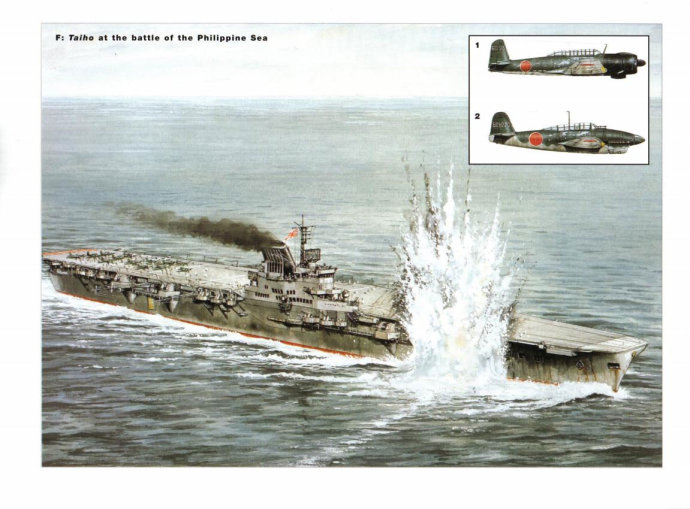 巨兽之亡(10)——缺了姐姐帮挡枪,老兵“瑞鹤”混不下去了