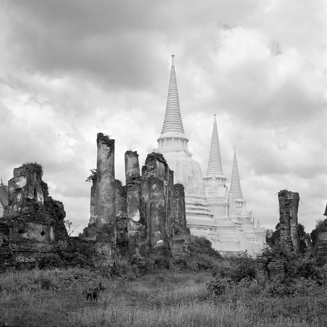 摄影界的女梵高,梵高120年前照片