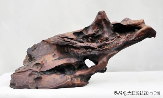 你可能不知道的地球生物,裸木乃伊植物