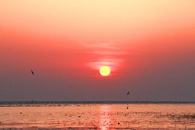 营口生活指南有哪些,营口市生活指南