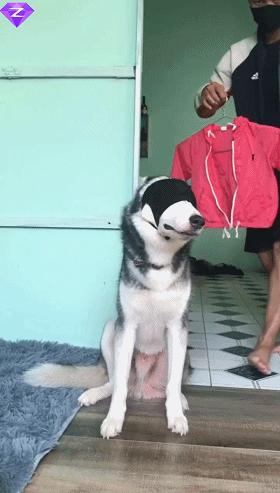 生物老师是女的,生物老师是个女的