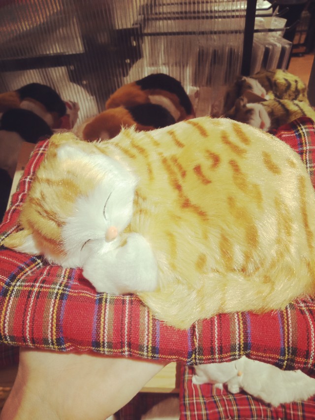 活酵母臻萃神仙爽肤水,平价大碗好用的爽肤水推荐