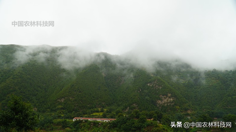 天水到大水川一日游,自驾游到天柱山停哪里最方便