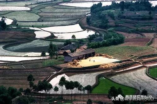 亲子不过夜露营必备物品清单,户外露营小攻略2人