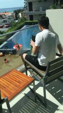 孔雀开屏搞笑动图,孔雀开屏搞笑gif