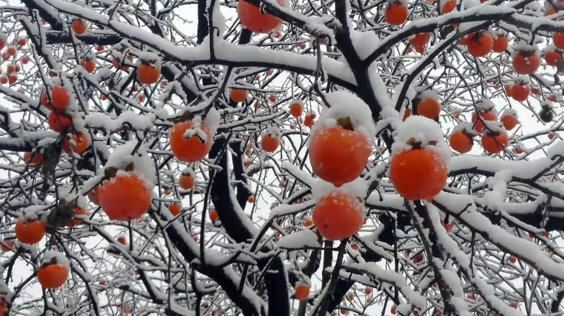 平谷湖洞水自然风景区自驾路线,2022年4月平谷最美自驾路线