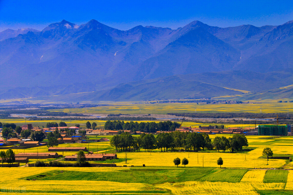 女人肾虚怎么补最快最好,女性肾虚脾虚怎么调理最佳