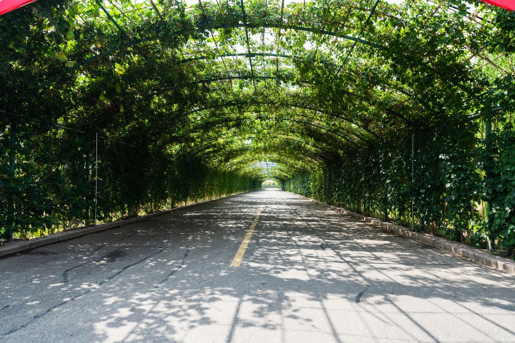 她是滔滔千里黄河的宠儿,阴山之下、河套之上的掌上明珠