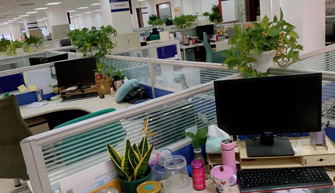 辟谷的正确方法不食五谷,辟谷日记第31天