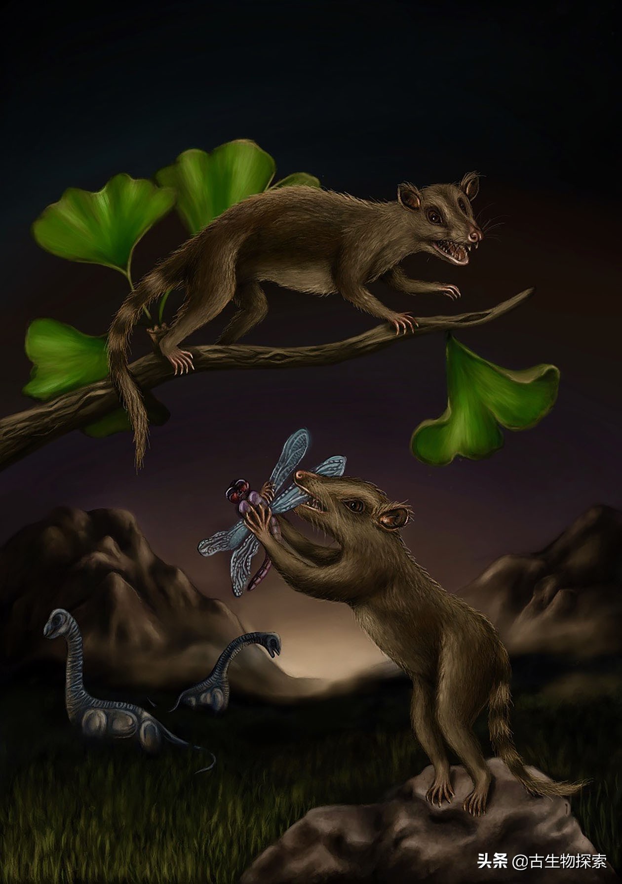 2020中国古生物学十大进展新闻,中国十大史前生物进化