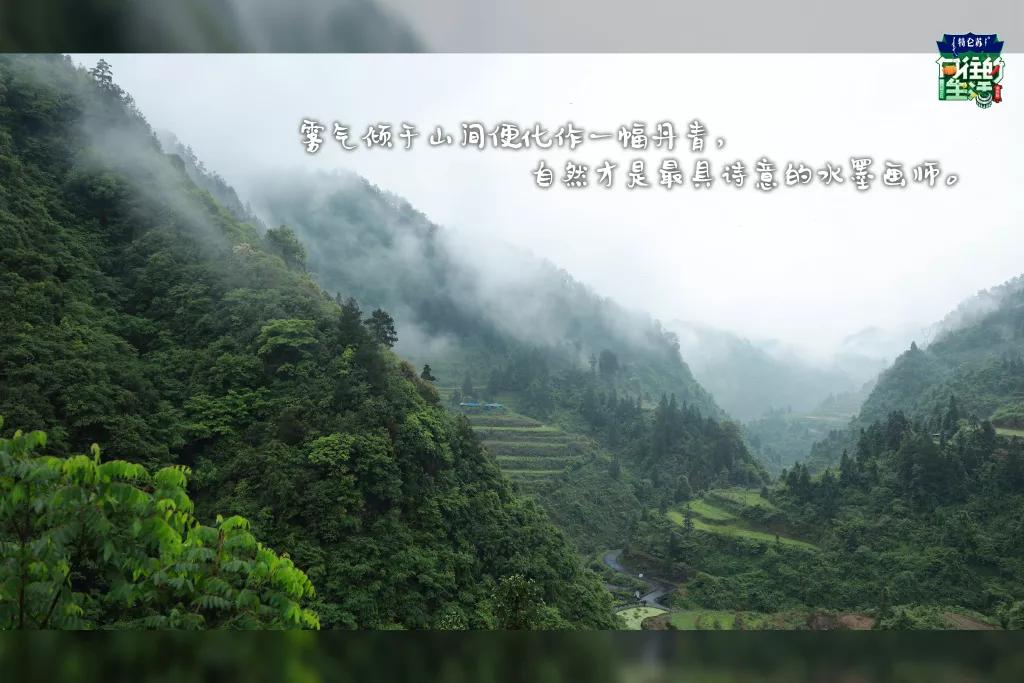 向往的生活1-6季文案,向往的生活一屋两人三餐四季文案