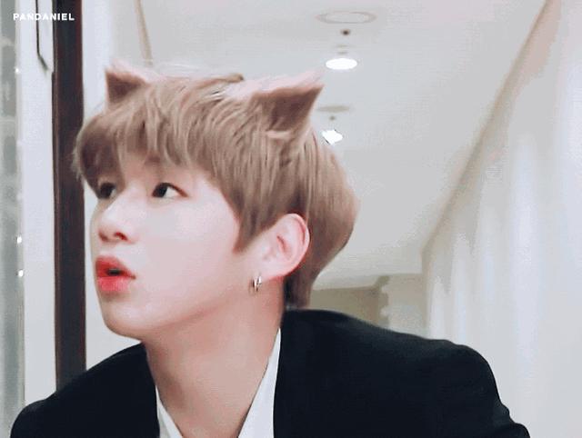 郑恺吴昕和杜海涛,郑恺吴昕现在有新恋情吗