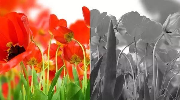 色弱可以考驾驶证吗,色弱可以考汽车驾驶证吗