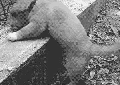 有种你单身,直到地老天荒。