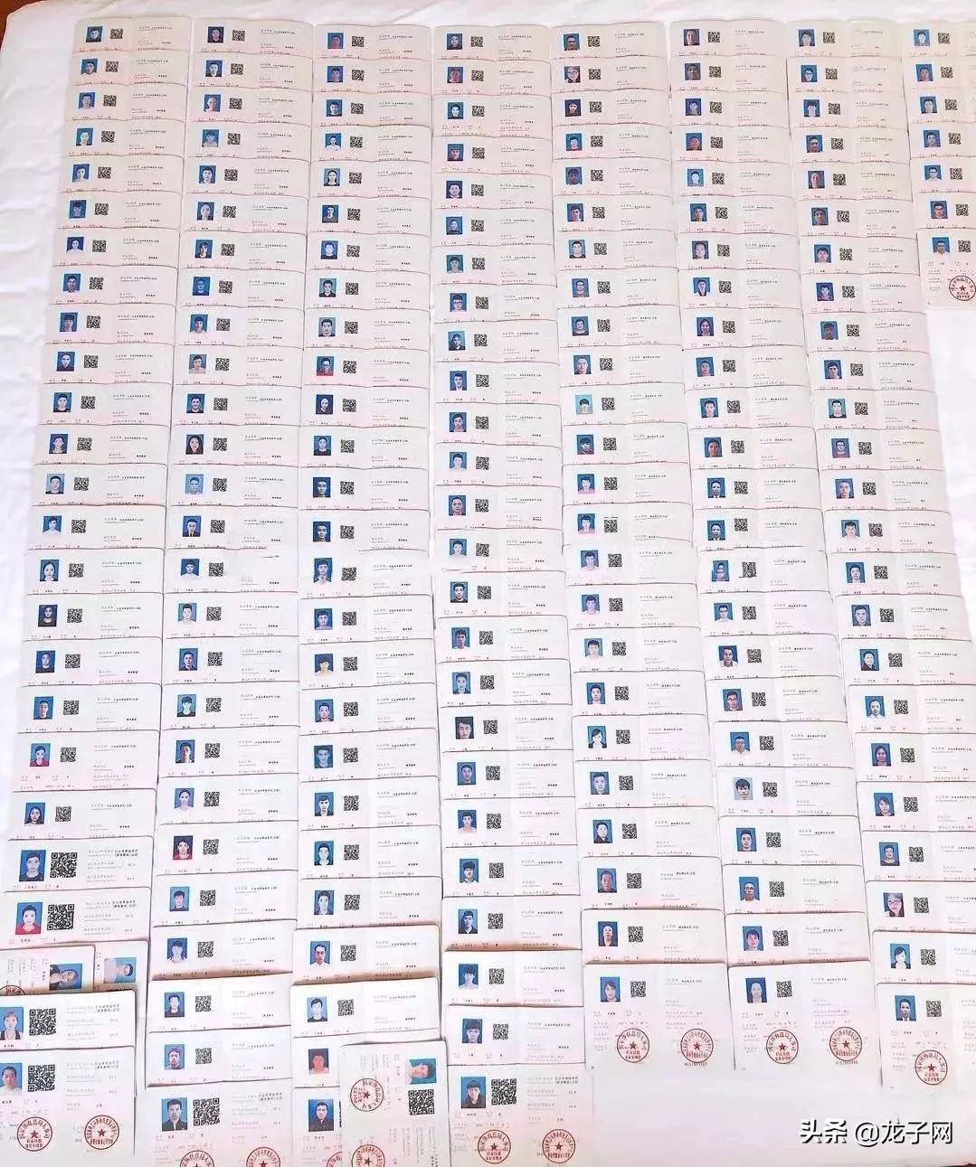 洛阳健身教练国职证报名入口,洛阳健身教练资格证