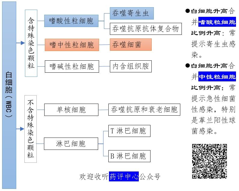 抗菌药物选择及合理用药,轻度或局部感染首选抗菌药