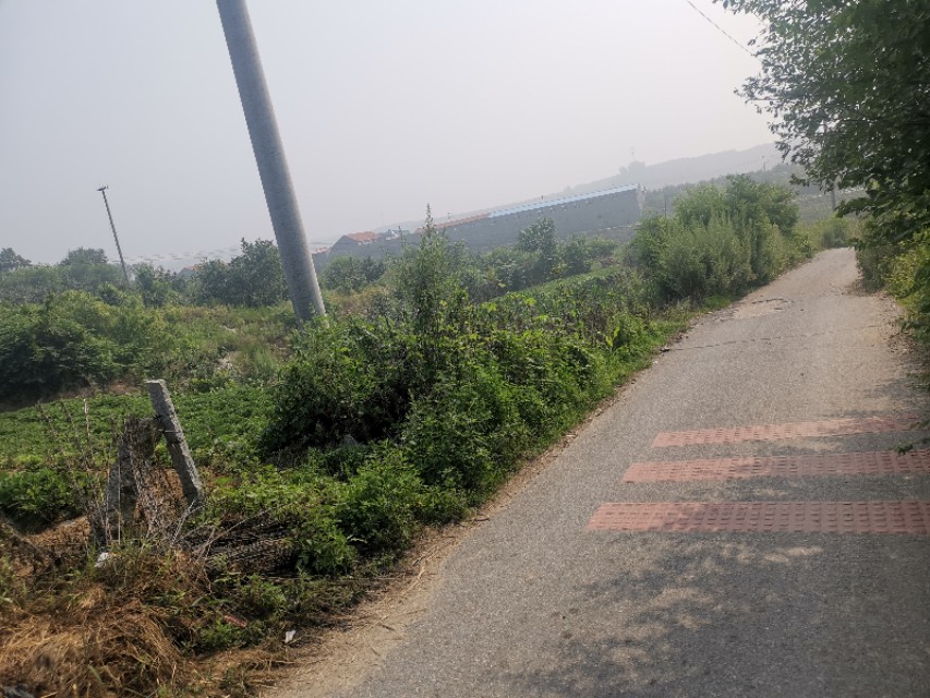 栖霞山风景区面临的问题,栖霞山怎么样了