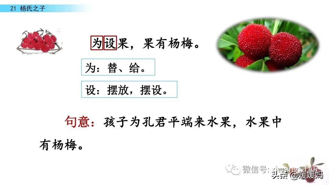 部编版五年级语文21杨氏之子教案,五年级下册语文21课杨氏之子笔记