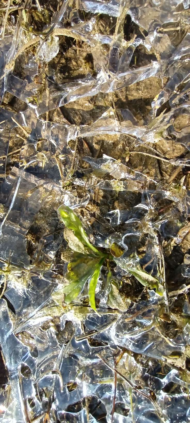 冬天的微锻炼，无意间找到一处篮球和足球场，非周末无人！来