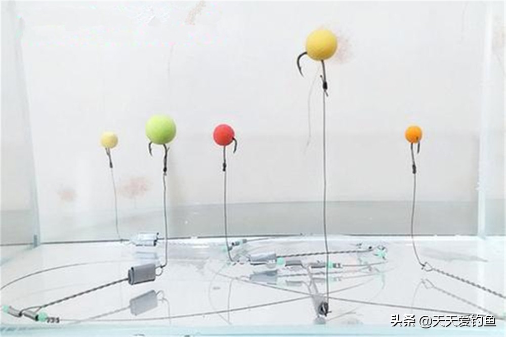 鳊鱼怎么钓喜欢吃什么,鳊鱼喜欢吃什么假饵