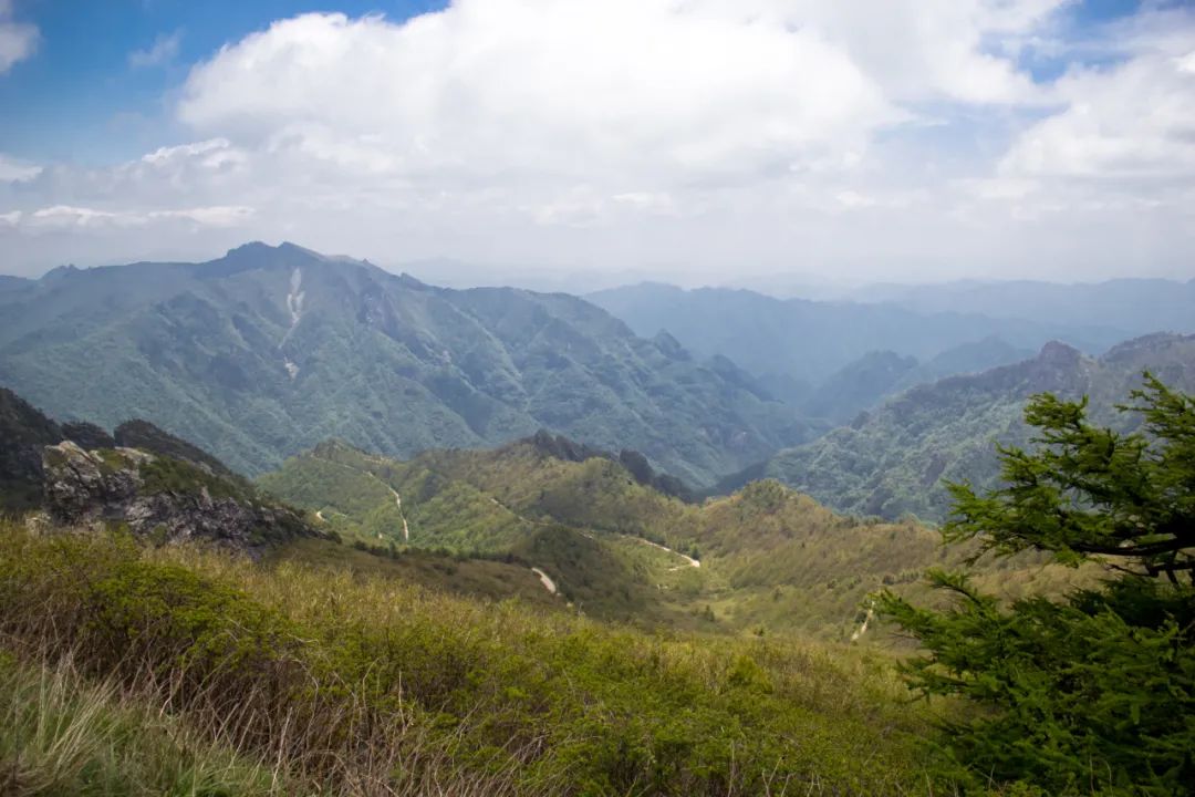 秦岭光头山至鹿角梁穿越路线,秦岭西观音山徒步登山路线攻略