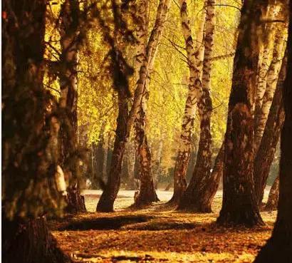 中国国家地理十大最美秋色,寻找中国最美自驾游