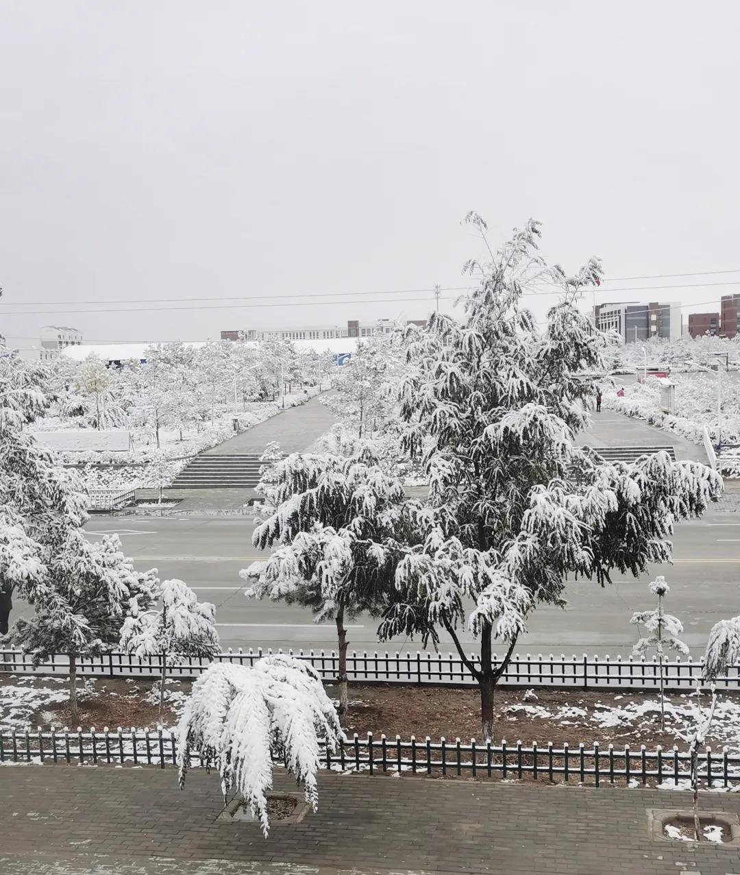 平凉崆峒区四路车现在停运了吗,平凉长途客车停运了吗