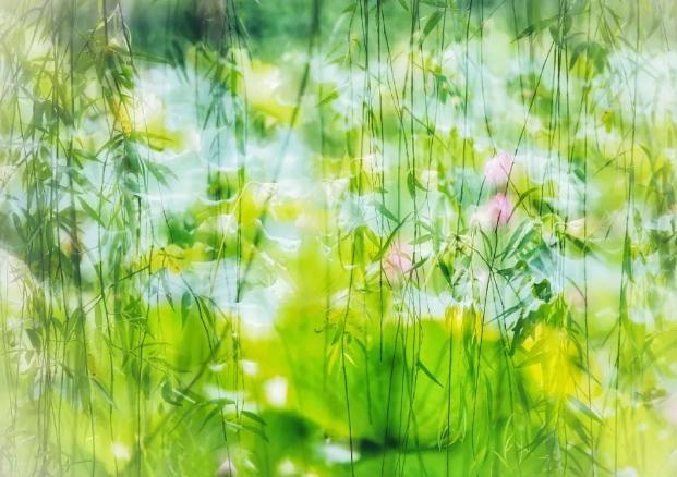 今日立夏，转这些诗词，可以让你在朋友圈脱颖而出！