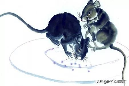 2019年运气好的属相,属相在2019年的运势