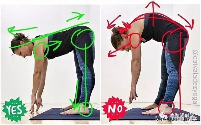 10个最新瑜伽体式正误对比图,瑜伽最容易错的正误对比图