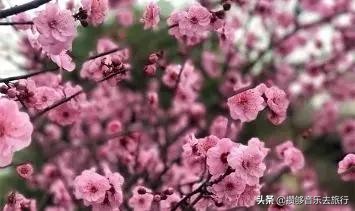 开挂了这座人口仅30万的小城，却连续5年上榜“四川省十强县”