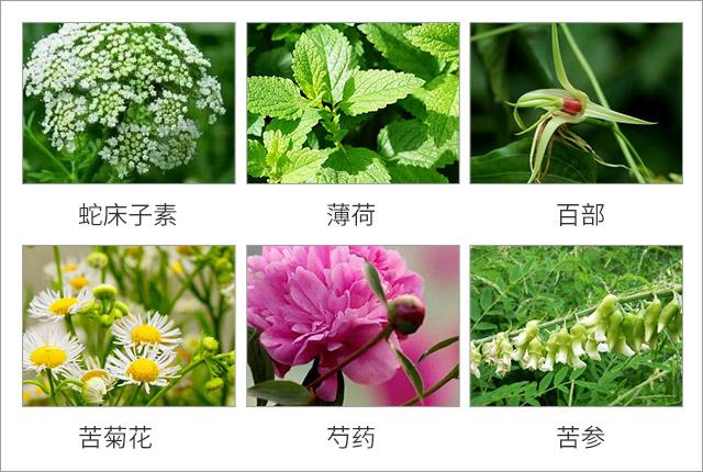 根除脸上螨虫的简单方法,螨虫在脸上如何彻底消除