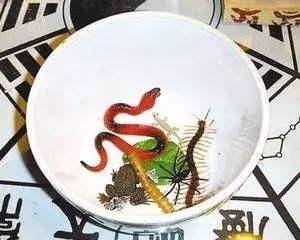 云南蛇蛊,云南虫谷的蛇蛊