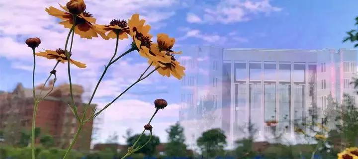 天一版新年月历，和小天一起迎接2019