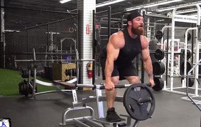 训练日常t杠俯身划船,t杠俯身划船怎么收紧肩胛骨