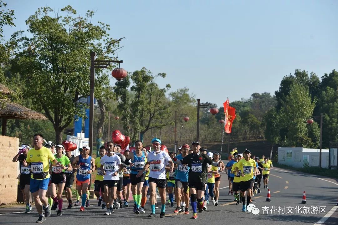 诗意池马赛醉美杏花村