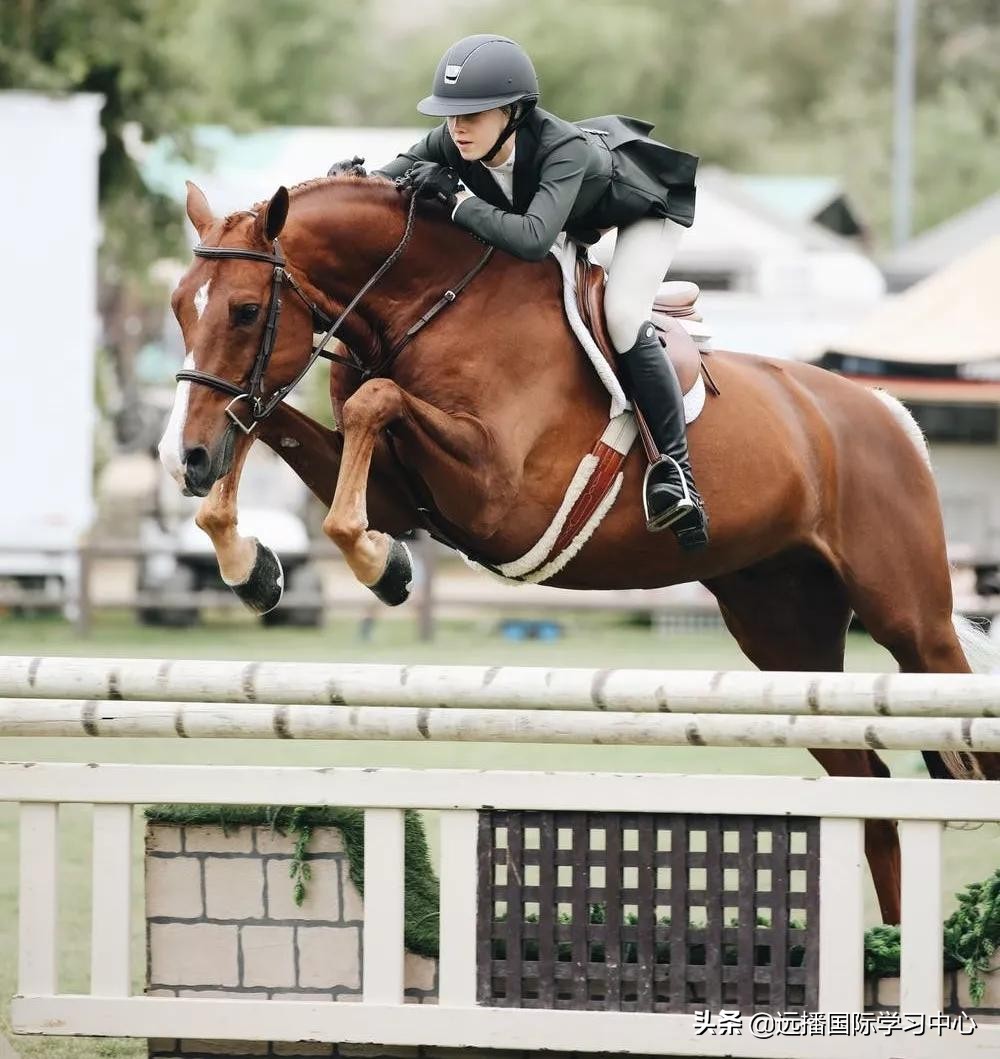 国际学校学费贵？但是真正算下来居然比体制内学校更便宜