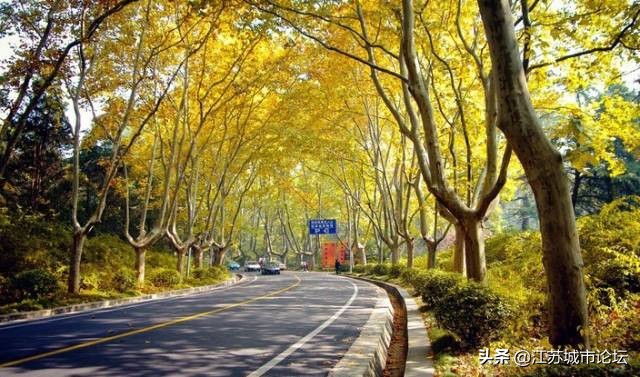 台湾学生拍电影,台湾学生南京