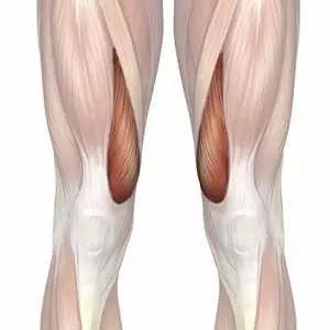 髌骨软骨软化怎么造成的,髌骨软骨软化的康复训练