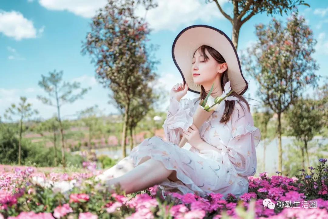 云南最美小镇图片,云南太平湖森林公园花海