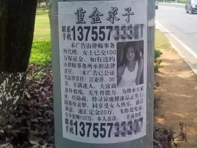 “清、管、呼、查”！临河城管向这种问题“开战”！