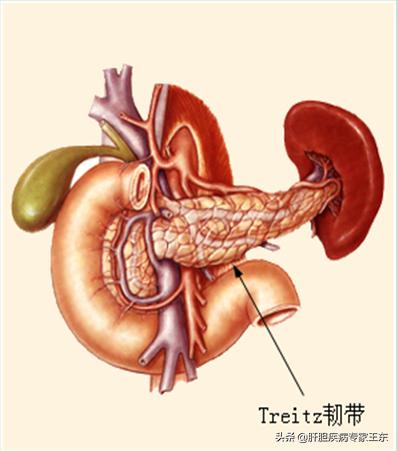 饮酒醉了吐血了怎么办,大量饮酒后吐血是怎么回事